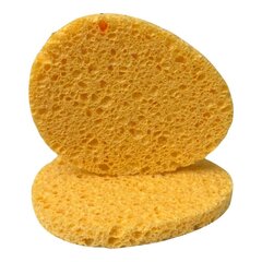 Sponsjes