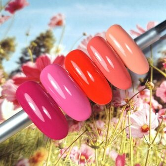 Nailit Gelpolish - #72 - Jolly Bloom