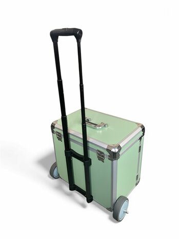 R&S Pedicure Koffer MEDI Prof GROEN